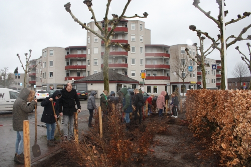 Schooltje, boompje, autootje